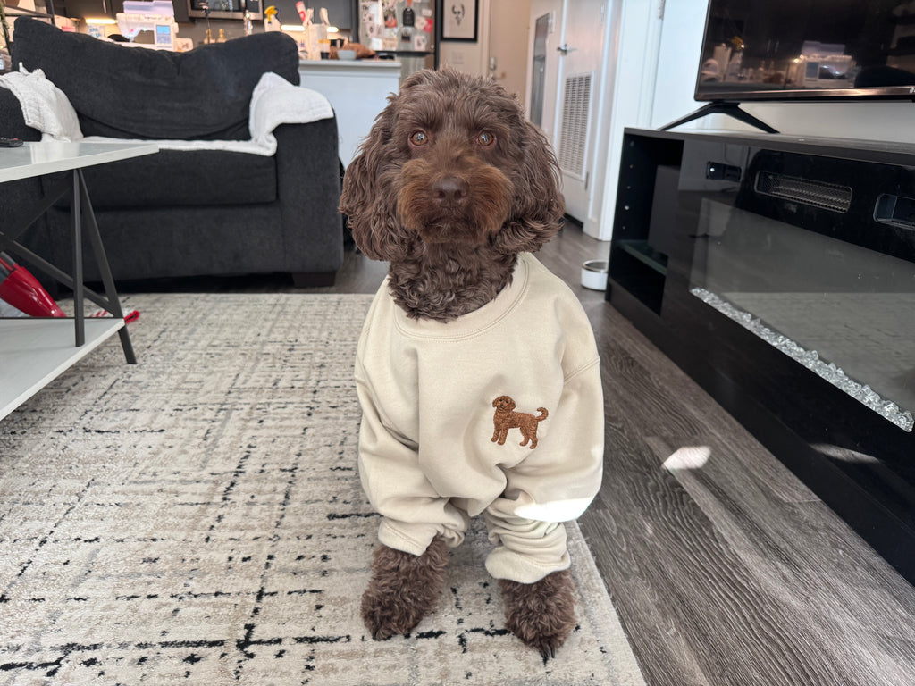 Doodle sweatshirt