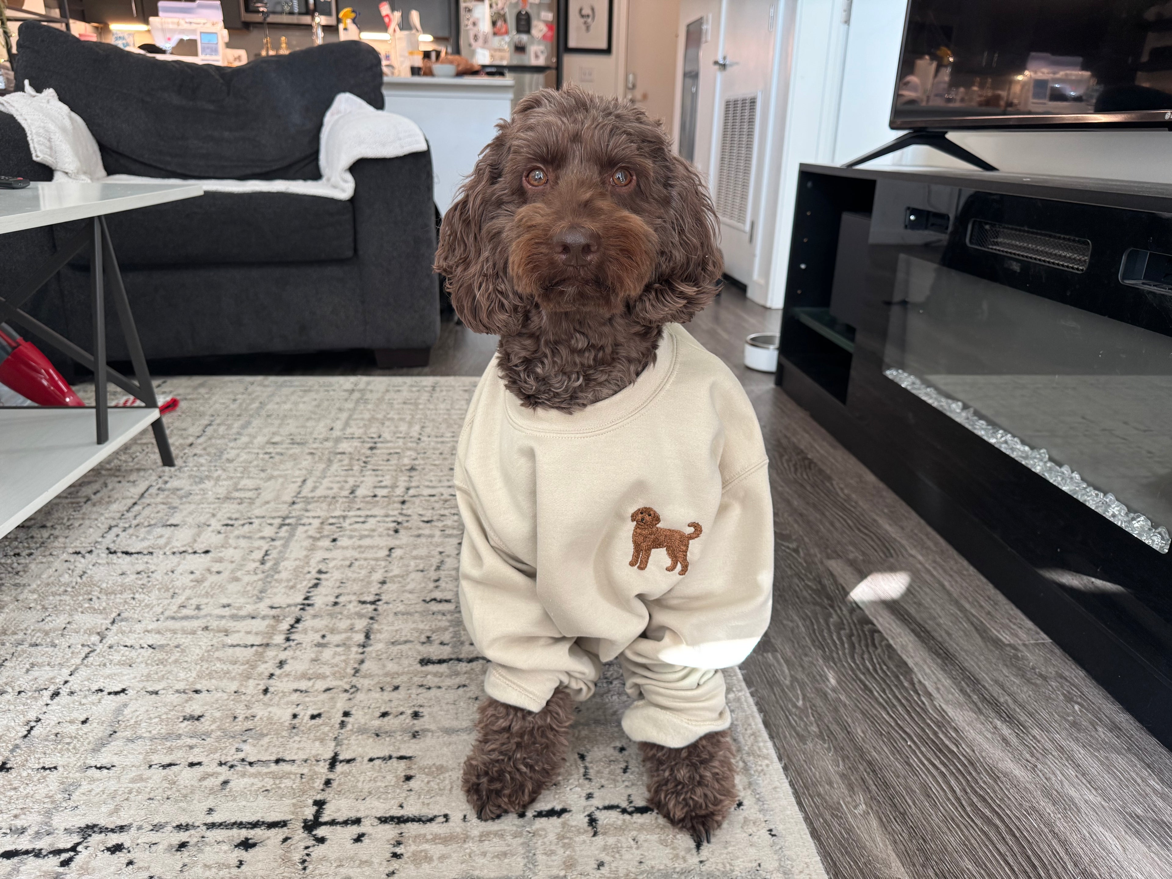 Doodle sweatshirt